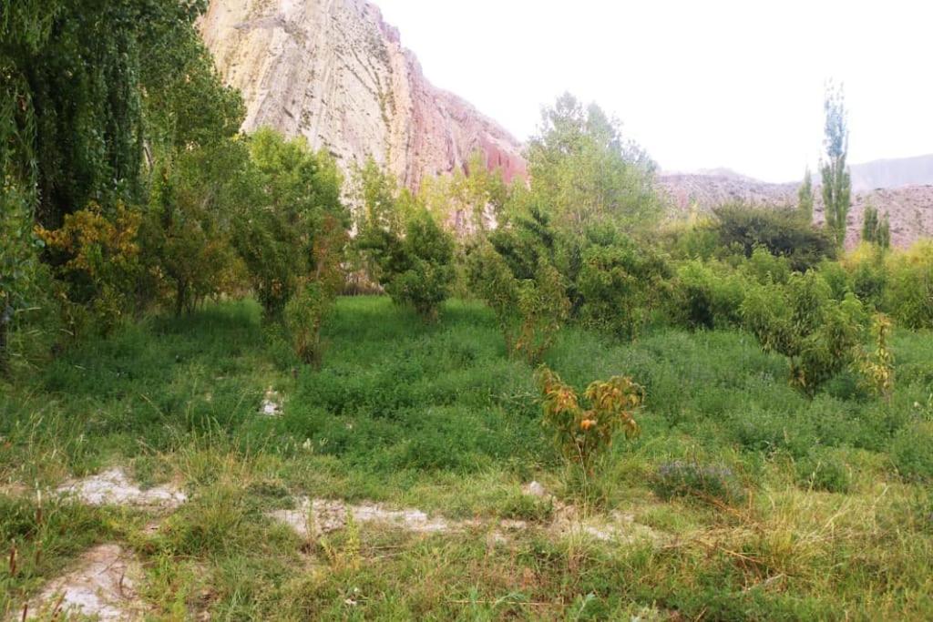 Cerro Amarillo, Cabaña de Juella Villa Tilcara Exterior foto