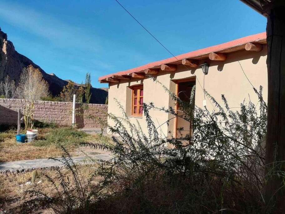 Cerro Amarillo, Cabaña de Juella Villa Tilcara Exterior foto