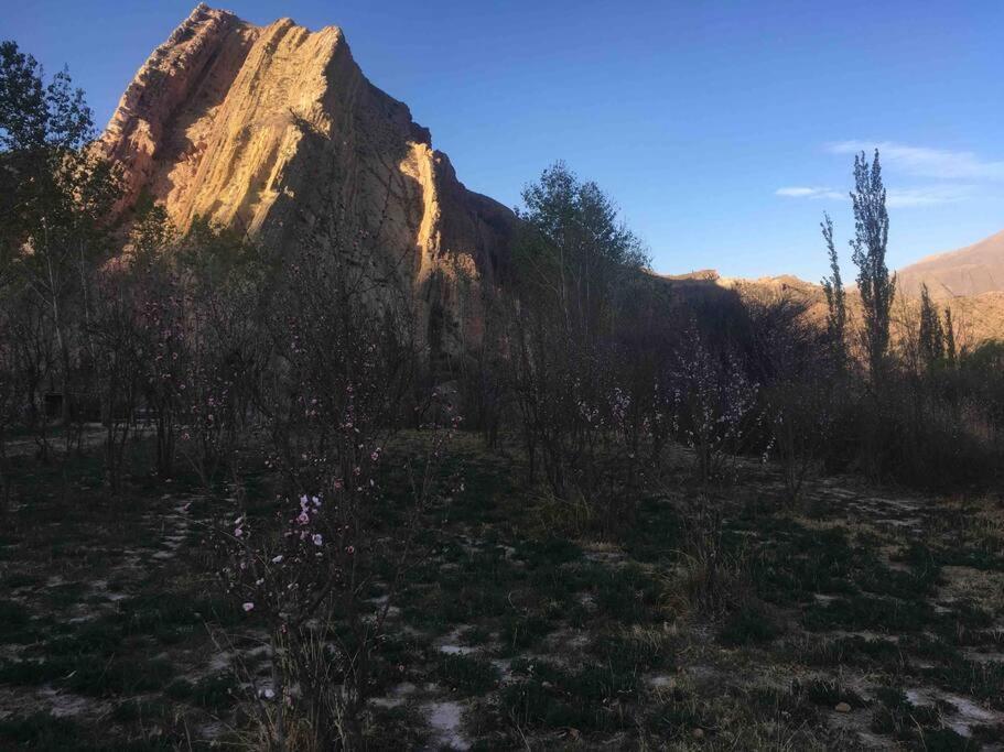 Cerro Amarillo, Cabaña de Juella Villa Tilcara Exterior foto